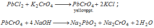 1102_wet test for basic radical1.png